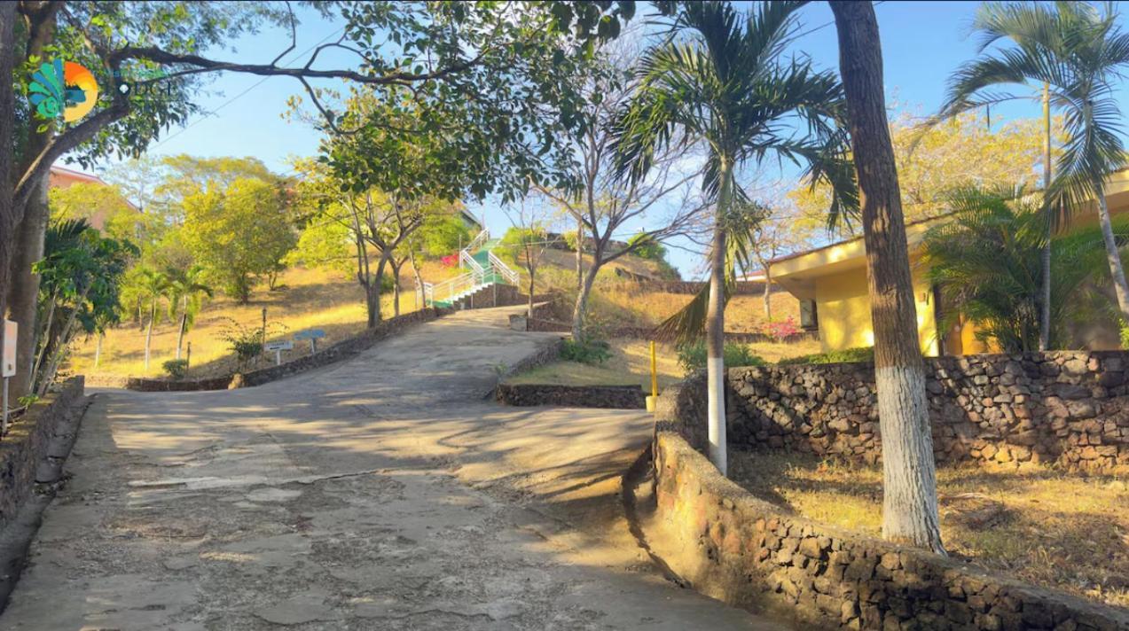 Vista Condor Lodge Puerto Viejo  Εξωτερικό φωτογραφία